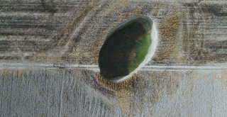 Obruk Sayısı Artıyor, Çevrede Hayat Devam Ediyor