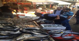Orduda Yasak Boydaki Balık Satışlarına Geçit Yok