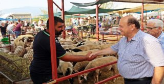 Başkan Özakcan Hayvan Pazarında Vatandaşlarla Buluştu