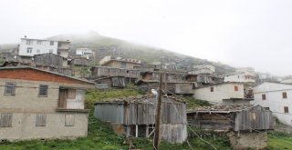 Varda Yaylasında Kaçak Yapılaşmanın Önüne Geçiliyor