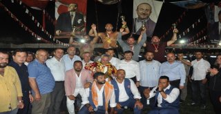 Altın Kirazın Başpehlivanı Ali Gürbüz Oldu