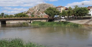 Haşerelere Karşı Biodrone İle İlaçlama