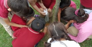 Kartepeli Miniklerin Hayvan Sevgisi