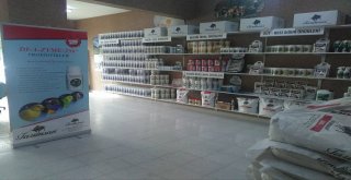 Tarımsan Market Çıldırda Hizmete Girdi