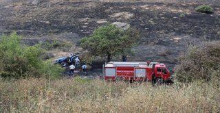 Tuncelideki Yangında 100 Dönüm Ekili Alan Kül Oldu