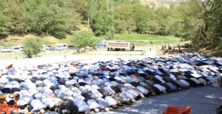 Bediüzzaman Said Nursi İçin Mevlit Verildi