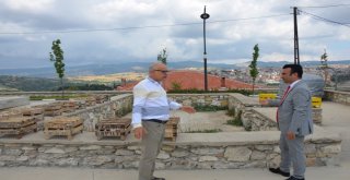 Manisadan Bayırbucak Türkmenlerine Kolilerce Yardım