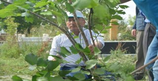 Başkan Köksoy, Personeli İle Temizlik Çalışmalarına Katıldı