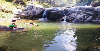 Bursalılar 2 Bin Metrede Yüzerek Serinliyor