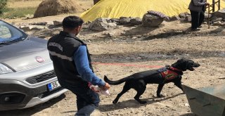 Sedanurun Annesi Havva Güzel: “Ne Olur Kızımı Bulun”