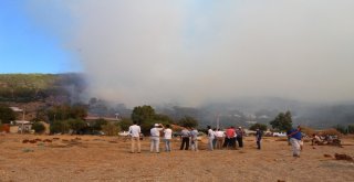 Kumlucada Başlayan Yangın, Adrasana Yayıldı