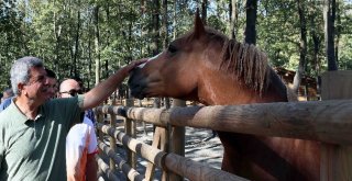Başkan Karaosmanoğlu:“20 Milyon Metrekarelik Alanı Yeşillendirdik”