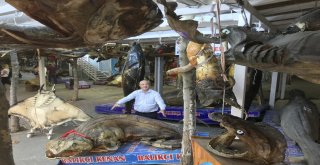 41 Tonluk Balık Müzesi Kışa Hazır