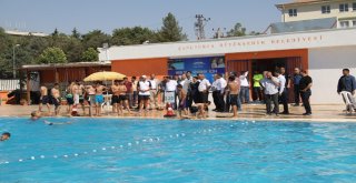 Büyükşehir Yüzme Havuzlarına Yoğun İlgi