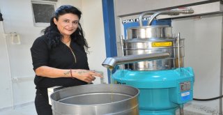 Harran Üniversitesi Bölgenin Zeytinyağı İhtiyacını Karşılıyor
