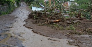 Orduda Selin 3. Günü