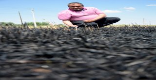 (Özel) Çiftçilere Anız Yakma, Geleceğini Yakarsın Uyarısı
