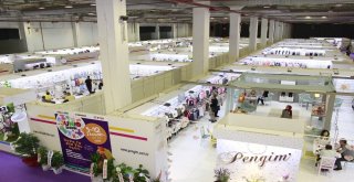 İhracata ‘Junioshow Damgası