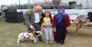 Çambaşı Yaylası Festivali 2Nci Gününde