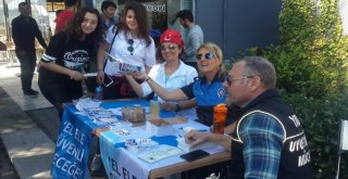 Yalova Üniversitesi Öğrencileri Bilgilendirdi