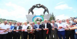 Aybastı Güreşle Coştu