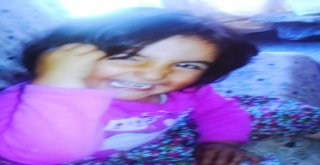 Evrimi Arama Çalışmaları Bayramda Da Devam Etti