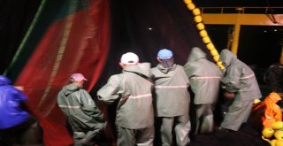 Yalova Ve Bursada Balıkçılar Vira Bismillah Dedi Kasalar Hamsiyle Doldu