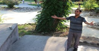 Temizlik İşçisinin Müzik Tutkusu