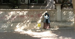 Adanada Yüzü Kapalı Kadın Paniği