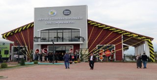 Geyve Ayvası Dünya Markası Olacak