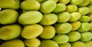 Taze İncirin İhracat Yolculuğu Başladı