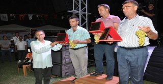 Buldan En İyi Üzümünü Seçti