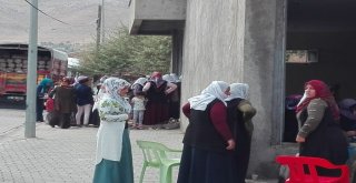 Damattan Geriye Son Pozu Kaldı
