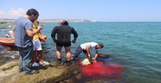 Gemiden Denize Düşen Angusu Kurtarma Operasyonu