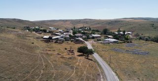 Hava Kararınca Ortaya Çıkıyorlar, Köylü Panikte