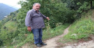 600 Metrelik Yolu Annesinin Sırtında Gidiyor