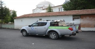 Çorumda Vektörel Mücadele Çalışmaları Aralıksız Sürdürüyor
