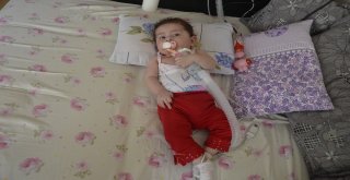11 Ayılık Minik Elif Kalbindeki 11 Milimetrelik Delikle Yaşamaya Çalışıyor