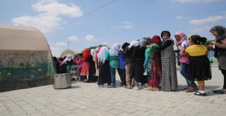 Suriyede Savaşta Annelerini Kaybeden Çocukların Saçlarına İlk Kez Örgü Yapıldı