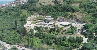 Trabzonda 450 Kişilik Hobbit Evi Yapıldı