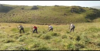 Doğubayazıtlılardan Tırpanla Zayıflama Tavsiyesi