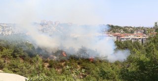 Karabükte Orman Yangını