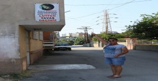 Mahallenin Fahri Trafik Polisi Ayşe Kaya Sokak Kedilerini Böyle Koruyor