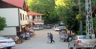 Tamzara Ekolojik Pazarı Kuruluyor