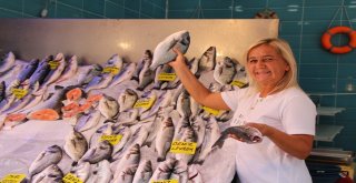 Eskişehirde Balıklar Tezgaha İndi