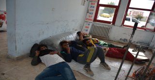 Pakistanlı Kaçakları İstanbul Diye Sinopa Bıraktılar