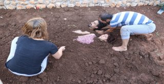 Diri Diri Toprağa Gömüldüler
