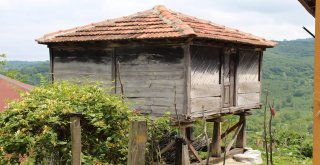 Köylerdeki Eski Evler Tarihi Yansıtıyor
