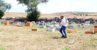 Arıları Telef Olan Ağrılı Arıcıya Genç Çiftçi Projesinden 40 Kovan Arı Desteği