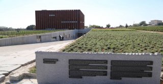 Vali Tavlıdan Troya Müzesinde İnceleme